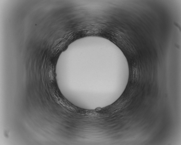 X0000100341250200806261318