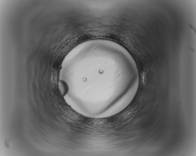 X0000100341251200806261318