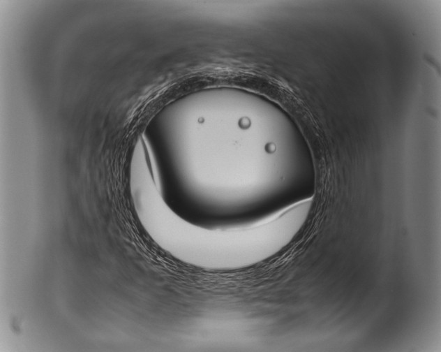 X0000100341253200806261318