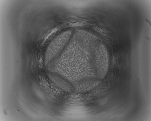 X0000100341254200806261318