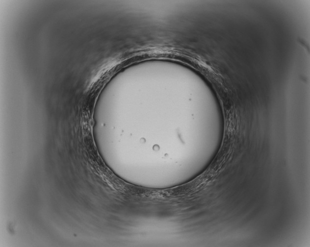 X0000100341255200806261318