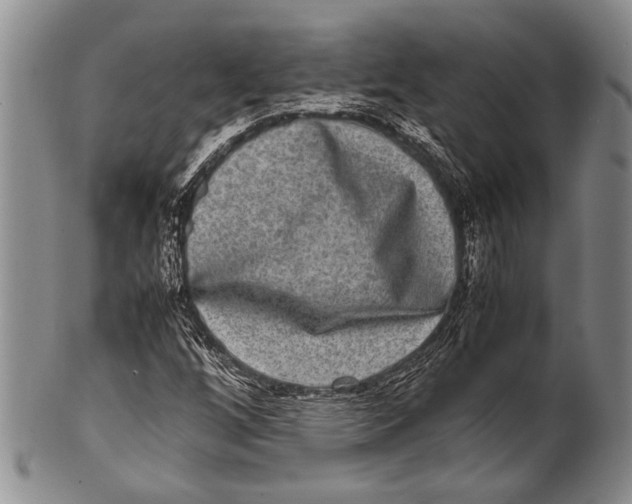 X0000100341256200806261318