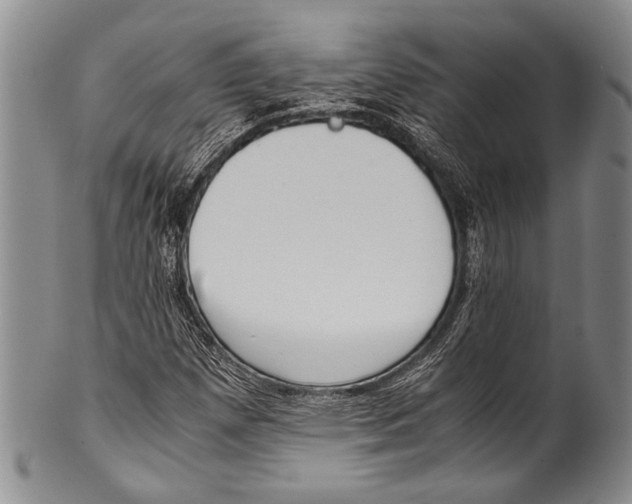 X0000100341257200806261318