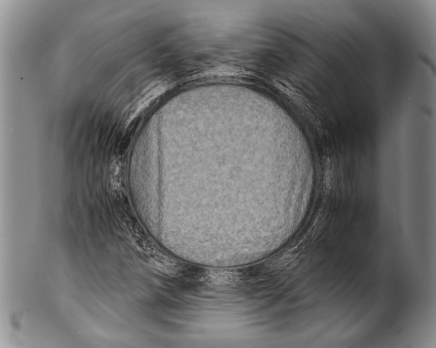 X0000100341258200806261318