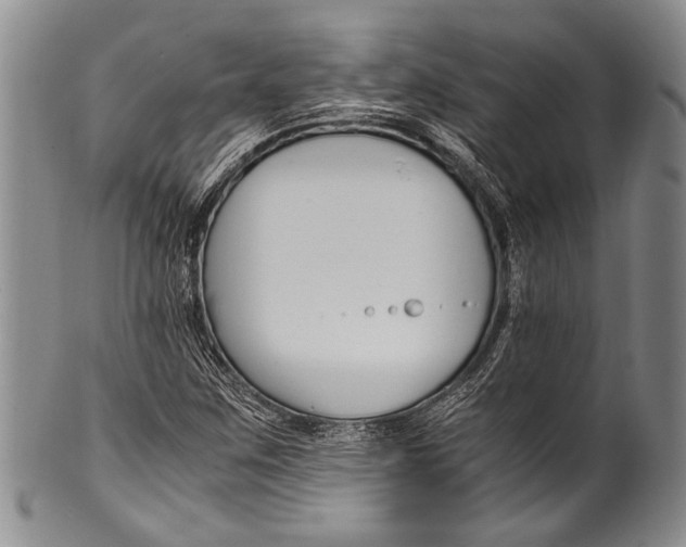 X0000100341259200806261318