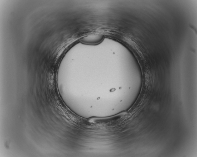 X0000100341260200806261318