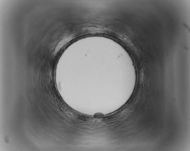 X0000100341261200806261318