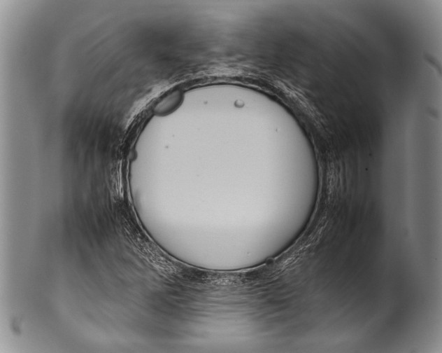 X0000100341262200806261318