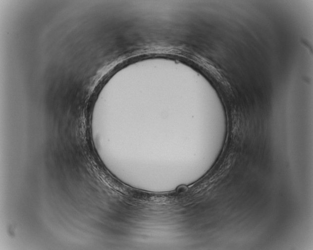 X0000100341264200806261318