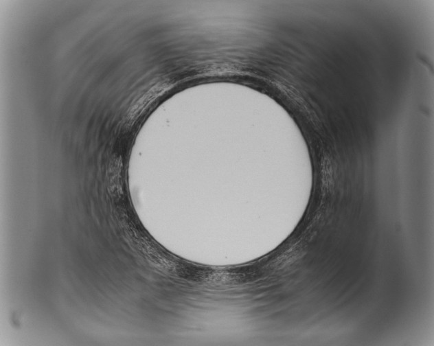 X0000100341265200806261318