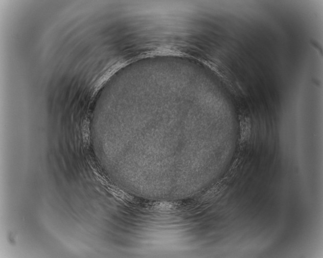 X0000100341266200806261318