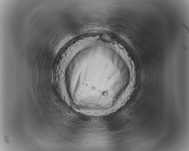 X0000100341267200806261318