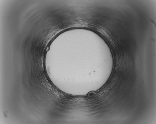 X0000100341268200806261318