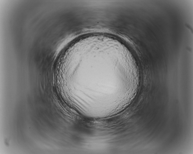 X0000100341271200806261318