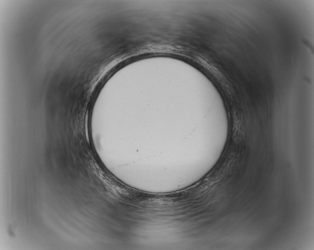 X0000100341272200806261318