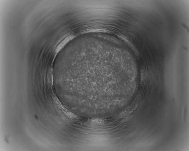 X0000100341274200806261318