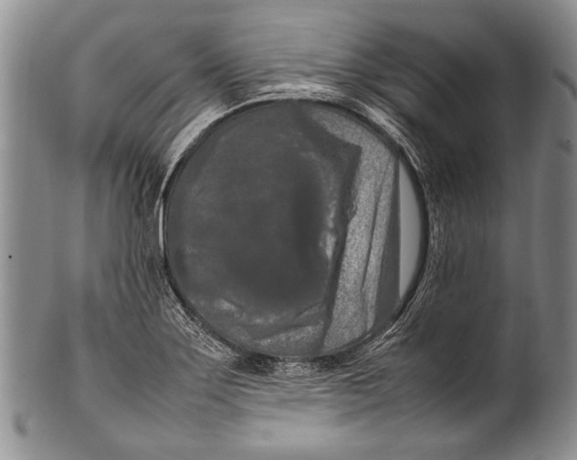 X0000100341275200806261318