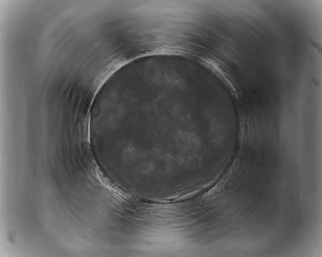 X0000100341276200806261318