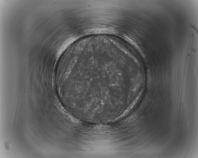 X0000100341277200806261318