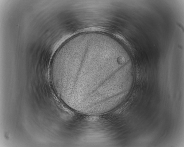 X0000100341278200806261318