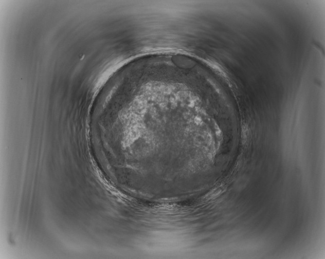 X0000100341279200806261318