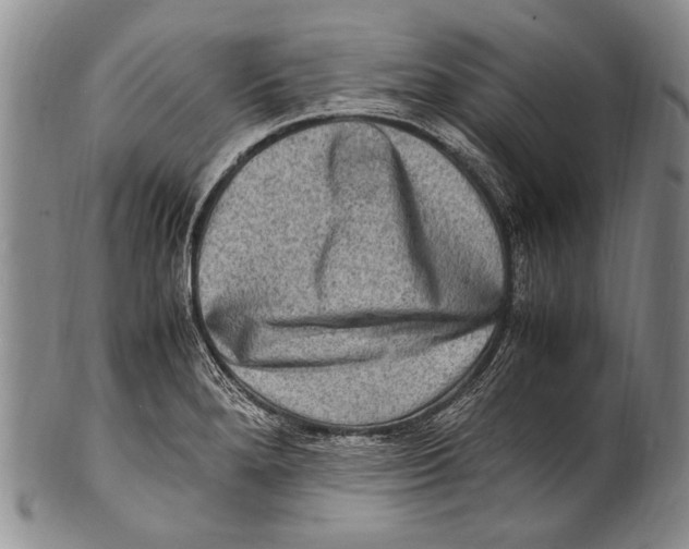 X0000100341280200806261318