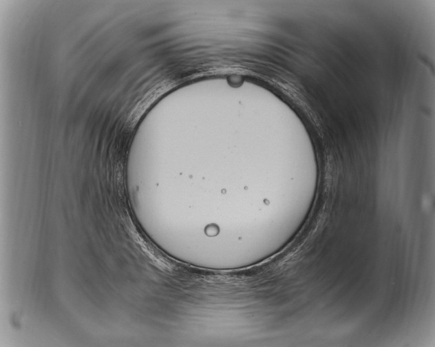 X0000100341281200806261318