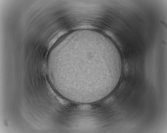 X0000100341282200806261318