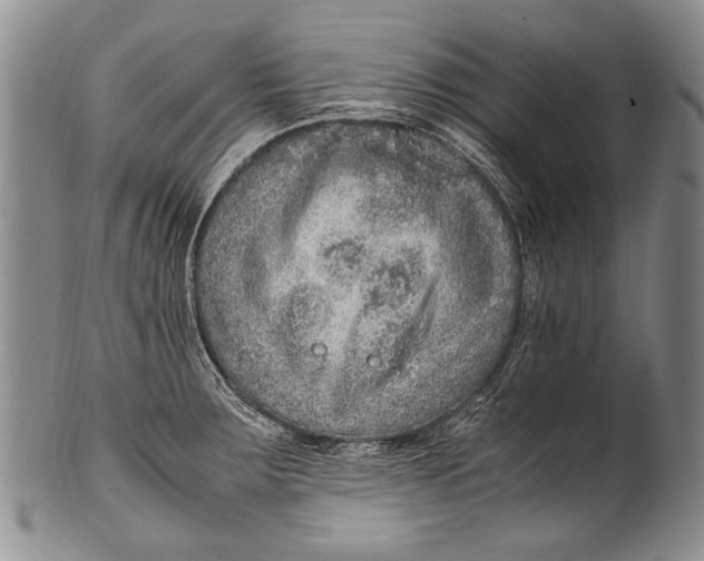 X0000100341283200806261318