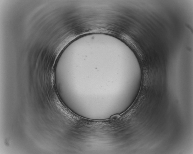 X0000100341284200806261318