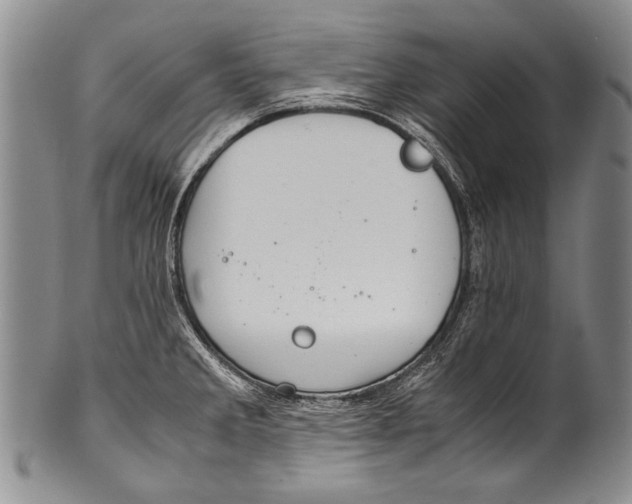 X0000100341285200806261318