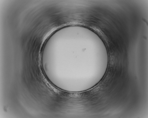 X0000100341286200806261318