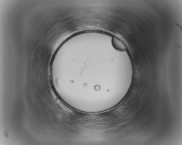 X0000100341287200806261318