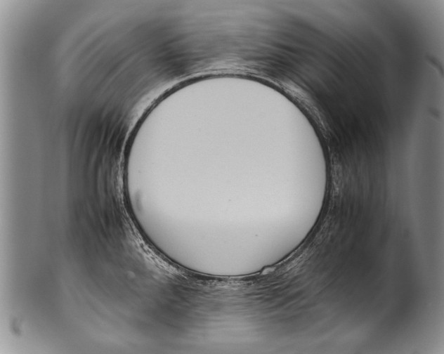 X0000100341288200806261318