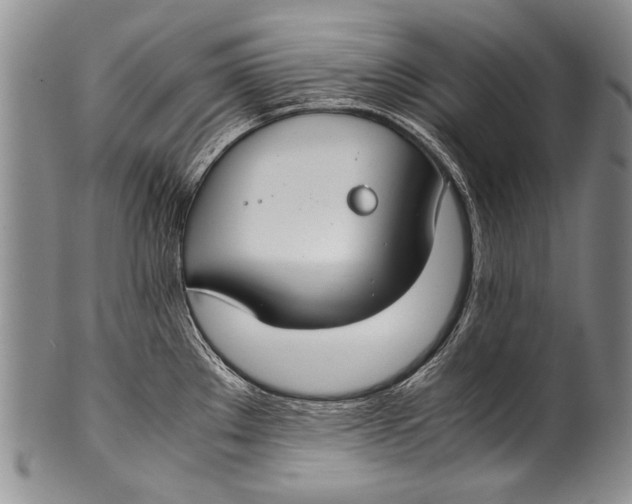 X0000100341289200806261318