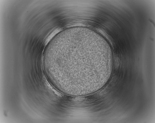 X0000100341290200806261318