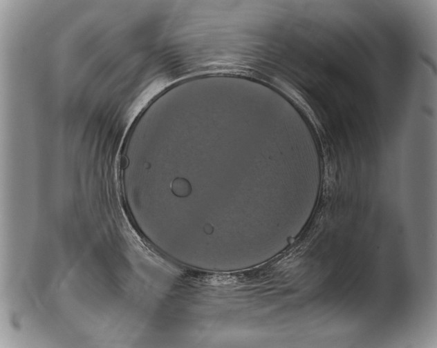 X0000100341291200806261318