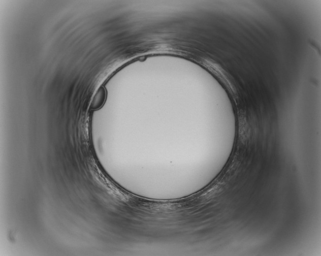 X0000100341292200806261318