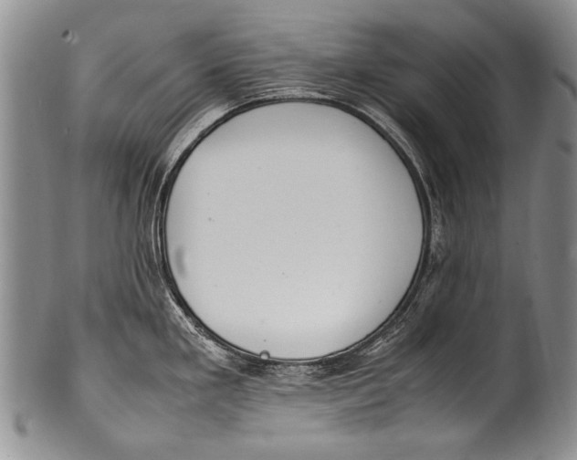 X0000100341293200806261317