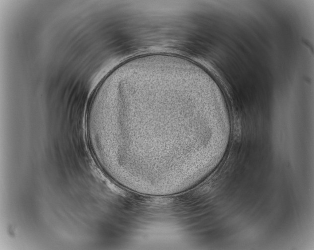 X0000100341294200806261317