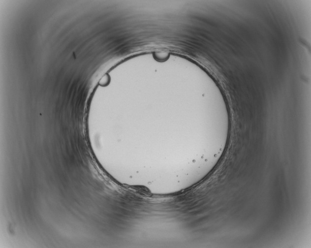 X0000100341296200806261317