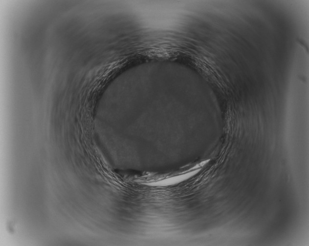 X0000100341297200806261317