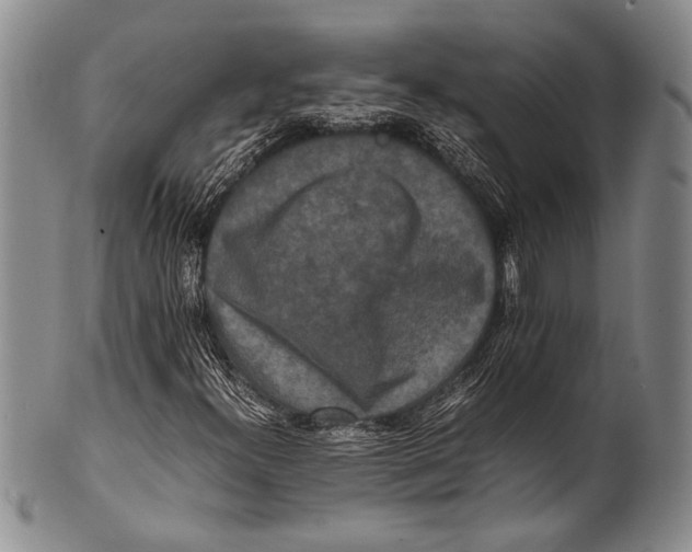 X0000100341300200806261317