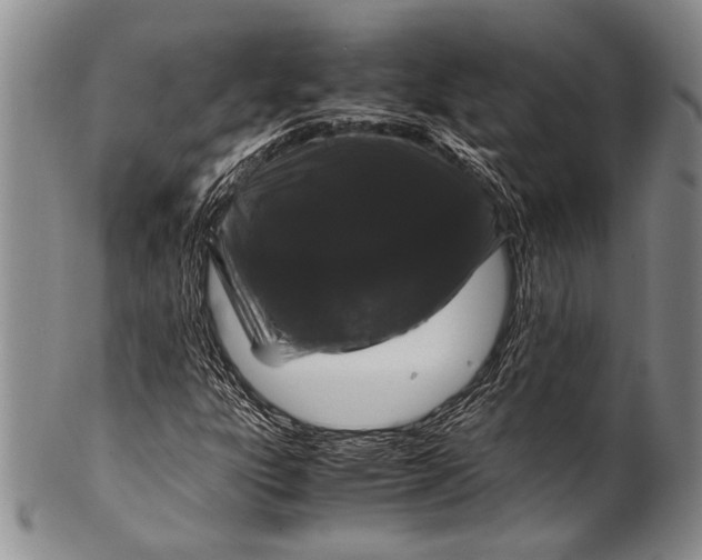 X0000100341303200806261317