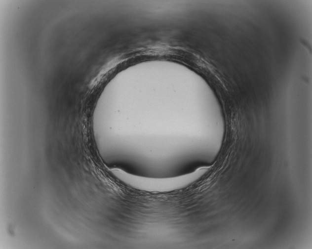 X0000100341304200806261317