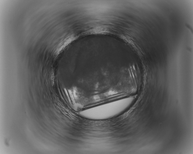 X0000100341306200806261317