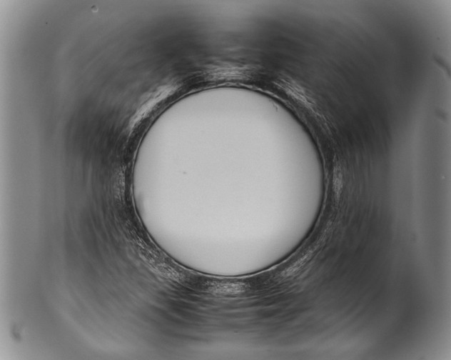 X0000100341309200806261317