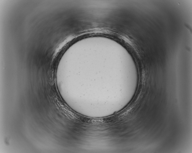 X0000100341310200806261317