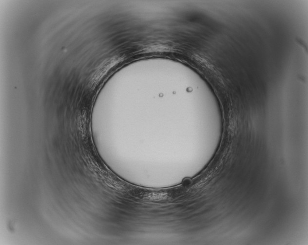 X0000100341313200806261317