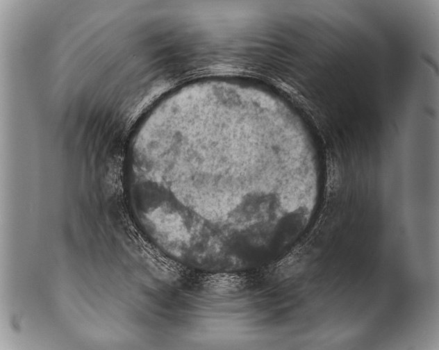 X0000100341314200806261317